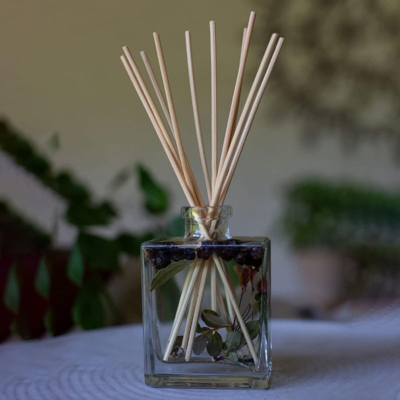 Rosy Rings Botanical Reed Diffuser Black Currant & Bay 4oz - Lasts 4-6 Months, Aromatherapy Diffuser, Reed Diffuser Sticks, Diffuser with Botanicals Perfect for Home Decor!