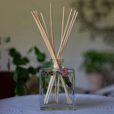 Rosy Rings Botanical Apricot Rose Reed Diffuser 4oz - Lasts 4-6 Months, Essential Oil, Reed Sticks, Floral Fruity Notes of Apricot, Blond Woods, Mirabelle Plum, Home Decor Aromatherapy Fragrance Gift