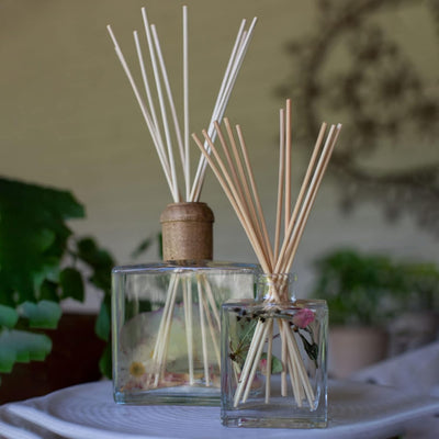 Rosy Rings Botanical Apricot Rose Reed Diffuser 4oz - Lasts 4-6 Months, Essential Oil, Reed Sticks, Floral Fruity Notes of Apricot, Blond Woods, Mirabelle Plum, Home Decor Aromatherapy Fragrance Gift