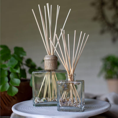 Rosy Rings Botanical Reed Diffuser Coastal Vanilla 4oz - Lasts 4-6 Months, Aromatherapy Diffuser, Reed Diffuser Sticks, Diffuser with Botanicals Perfect for Home Decor!