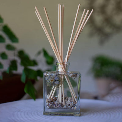 Rosy Rings Botanical Reed Diffuser Coastal Vanilla 4oz - Lasts 4-6 Months, Aromatherapy Diffuser, Reed Diffuser Sticks, Diffuser with Botanicals Perfect for Home Decor!