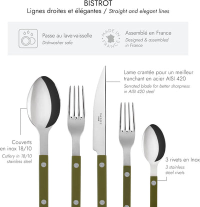 20-Piece Flatware Set for 4 - Bistrot Collection - Knife, Fork, Soup Spoon, Teaspoon & Dessert Fork - Stainless Steel & Nylon - Dishwasher Safe - Green Fern - Shiny Finish