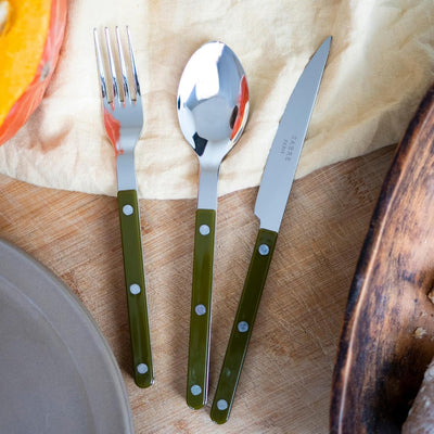 20-Piece Flatware Set for 4 - Bistrot Collection - Knife, Fork, Soup Spoon, Teaspoon & Dessert Fork - Stainless Steel & Nylon - Dishwasher Safe - Green Fern - Shiny Finish