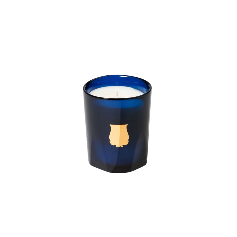 Trudon Salta Grapefruit Candle 70g – Fresh Citrus Allure in Petite Wax