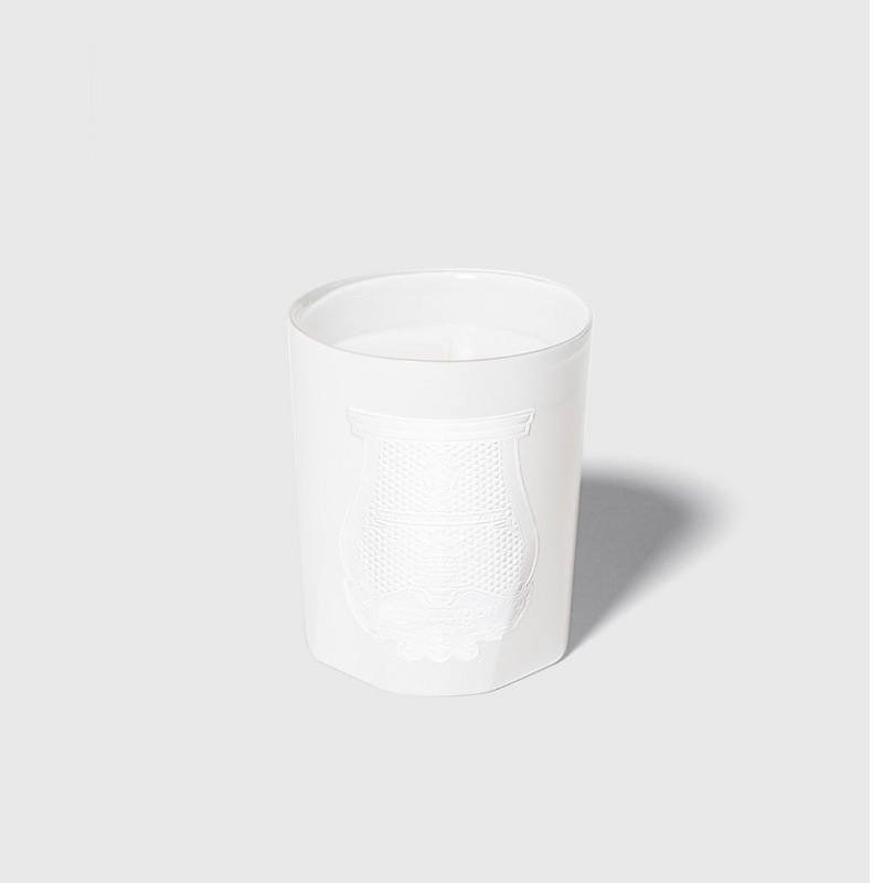 Positano by Giambattista Valli 9.5 oz Candle – A Trudon Classic with Radiant Neroli, Jasmine & Mediterranean Notes
