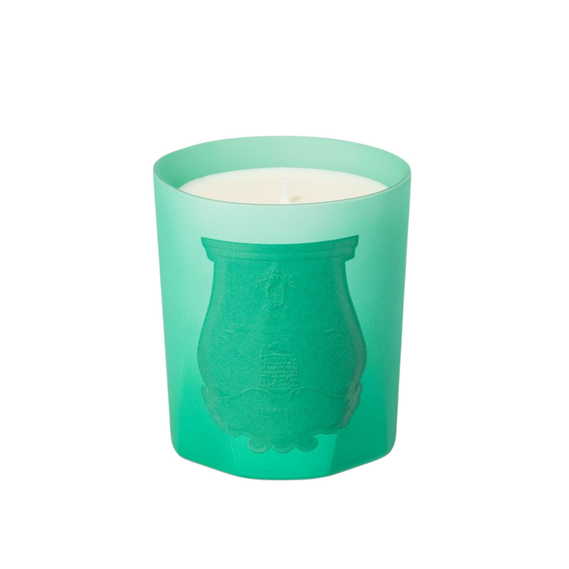 Trudon – Under the Trees Candle – Herbal Infusion & Green Woods from the Lost in a Moment Collection 9.5 oz