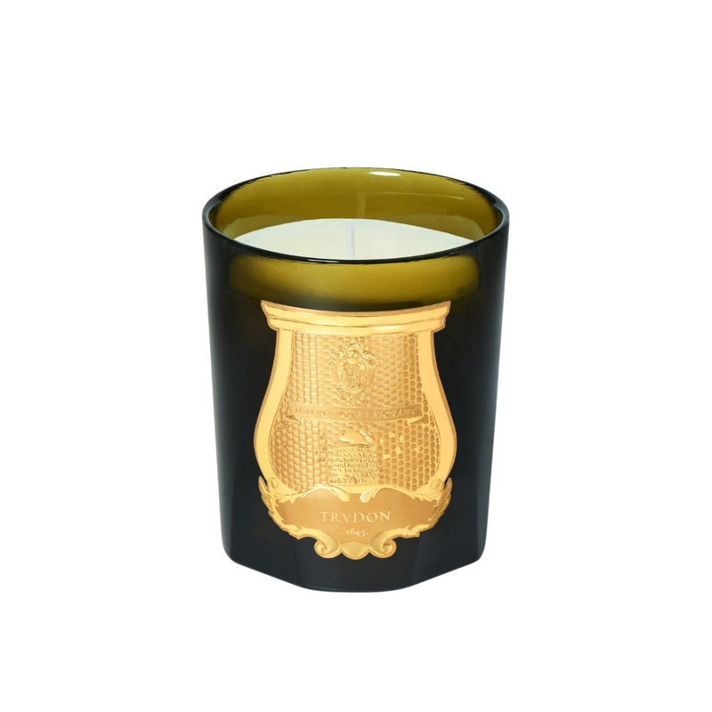 Trudon Dada Candle Tea and Vetiver Classique 270g