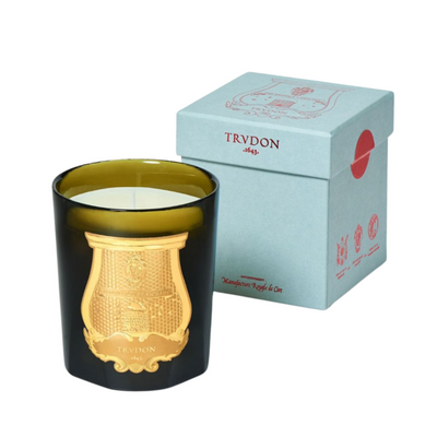 Trudon Dada Candle Tea and Vetiver Classique 270g