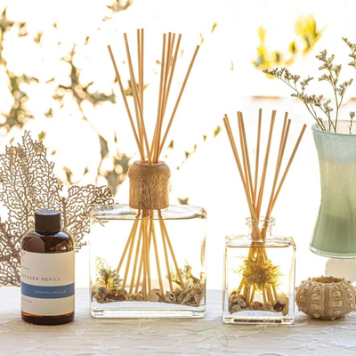 Rosy Rings Botanical Reed Diffuser Coastal Vanilla 13oz - Lasts 6-12 Months, Aromatherapy Diffuser, Reed Diffuser Sticks, Diffuser with Botanicals Perfect for Home Decor!