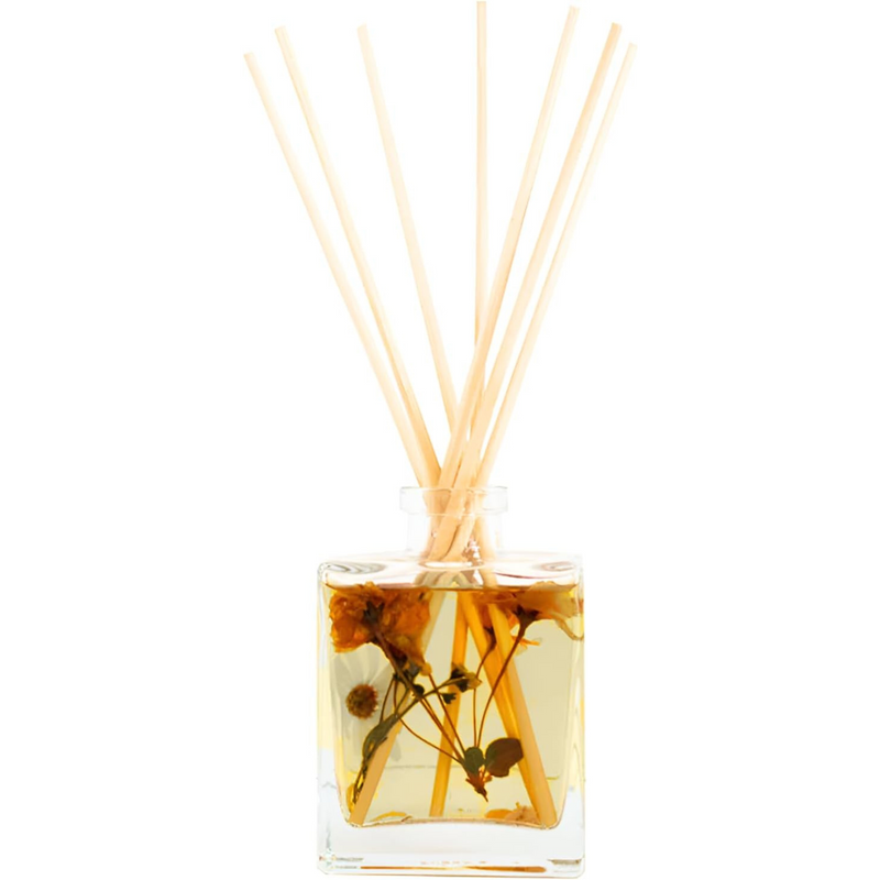 Rosy Rings Botanical Apricot Rose Reed Diffuser 4oz - Lasts 4-6 Months, Essential Oil, Reed Sticks, Floral Fruity Notes of Apricot, Blond Woods, Mirabelle Plum, Home Decor Aromatherapy Fragrance Gift