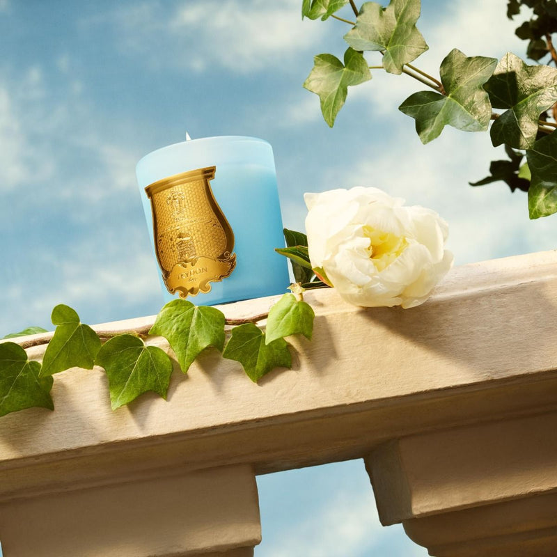 Trudon – Versailles 270g Candle (Garden in Spring) – Inspired by the Grandeur of French Court Life