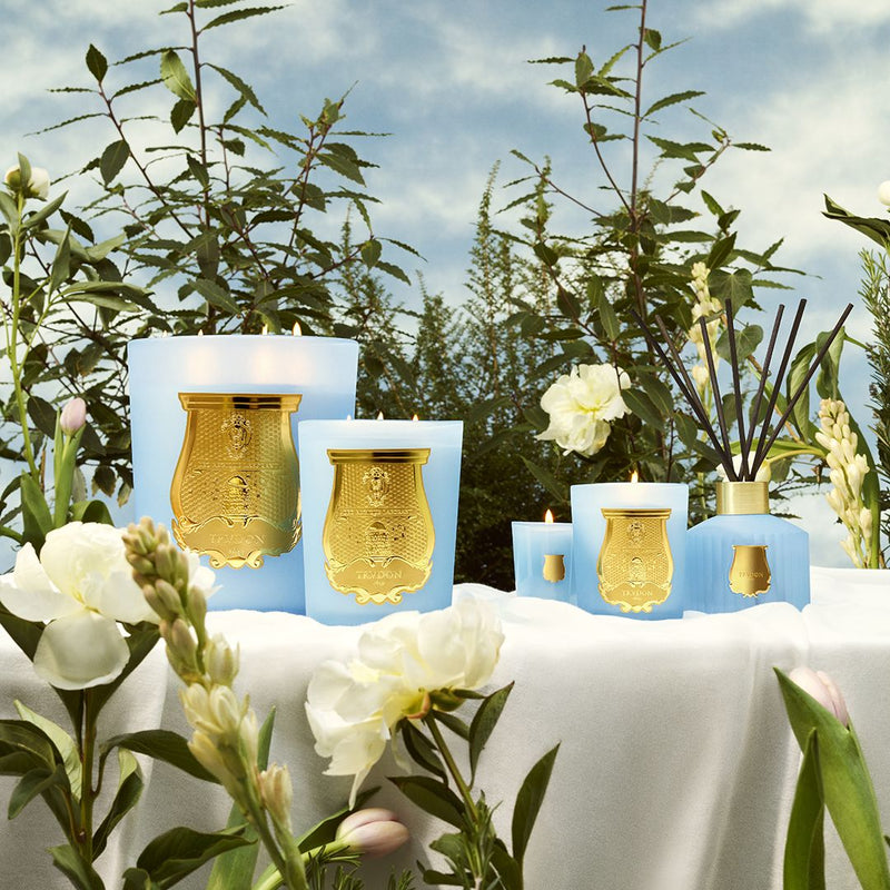 Trudon – Versailles Candle 70g (Garden in Spring) – Floral Freshness in a Petite Azure Vessel