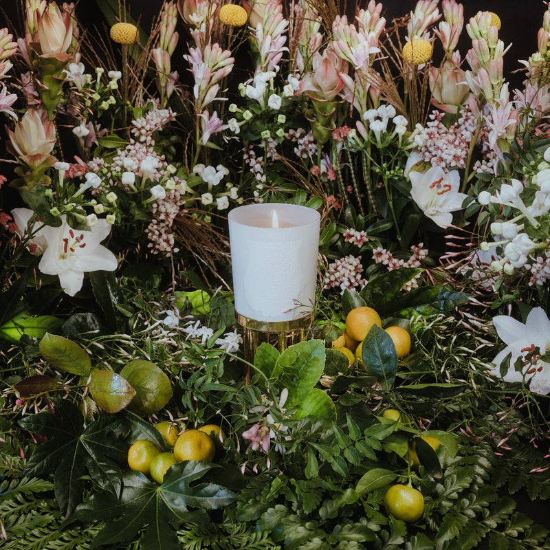 Positano by Giambattista Valli 9.5 oz Candle – A Trudon Classic with Radiant Neroli, Jasmine & Mediterranean Notes