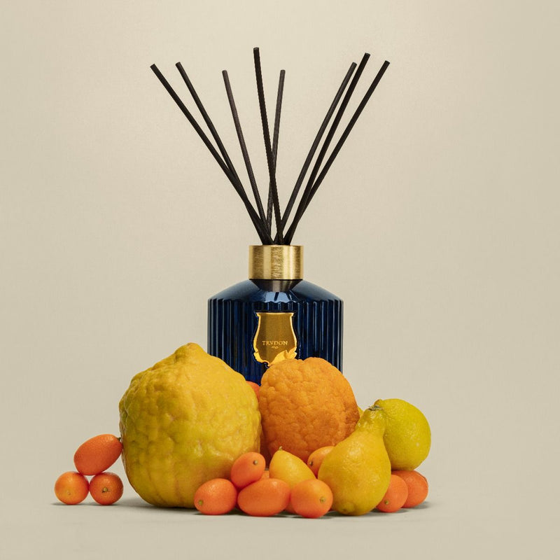 Trudon Reggio Diffuser 350ml – Citrus Breeze from Calabria