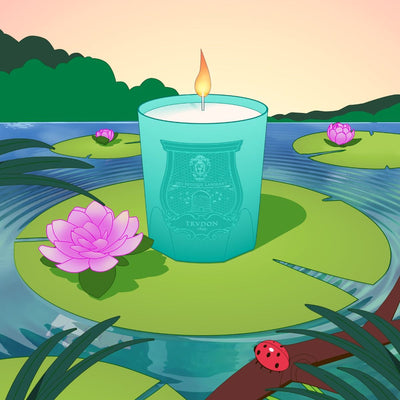 Trudon – Under the Trees Candle – Herbal Infusion & Green Woods from the Lost in a Moment Collection 9.5 oz