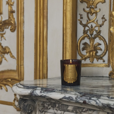 Trudon Solis Rex Candle Versailles Wooden Floors Classique 270g