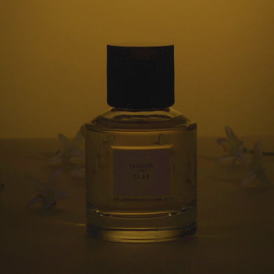 Trudon Elae Eau de Parfum 100ml – Neroli, Ylang Ylang & Sandalwood Harmony