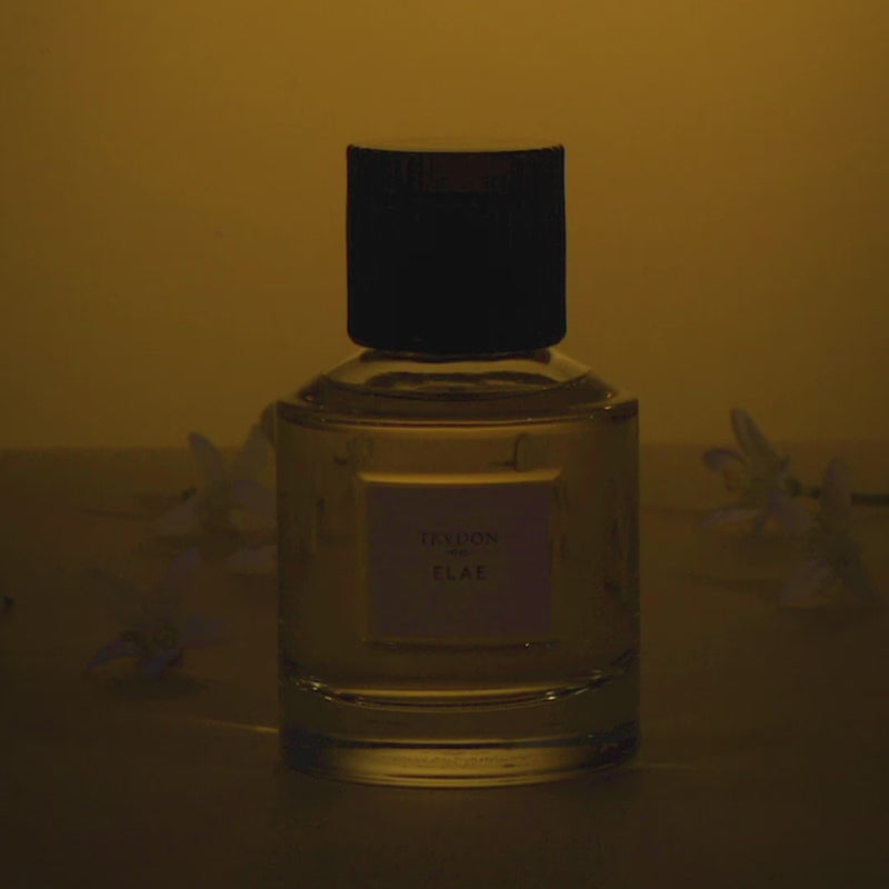 Trudon Elae Eau de Parfum 100ml – Neroli, Ylang Ylang & Sandalwood Harmony