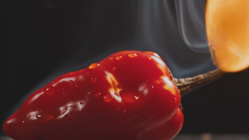 Hot Sauce Gift Set of 30 – Master Collection Variety Sampler Box, Assorted Gourmet Flavors, Spicy Chili Pepper Pack for Cooking, Grilling & Dipping | Heat Challenge Gift for Men, Food & Spice Lovers