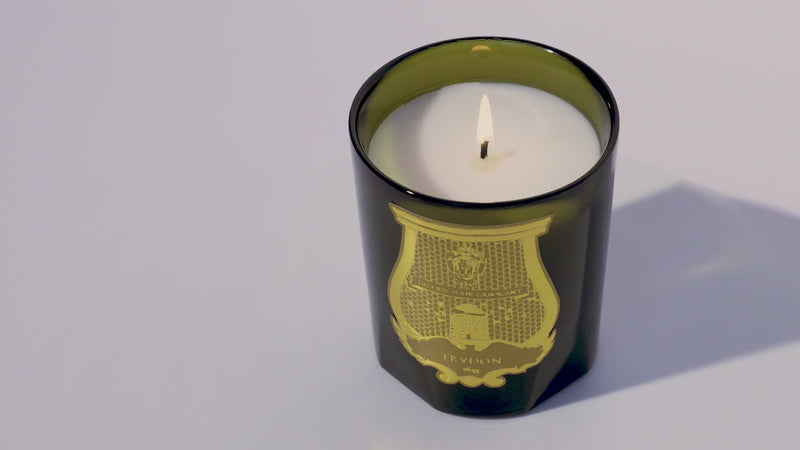 Trudon Solis Rex Candle Versailles Wooden Floors Classique 270g