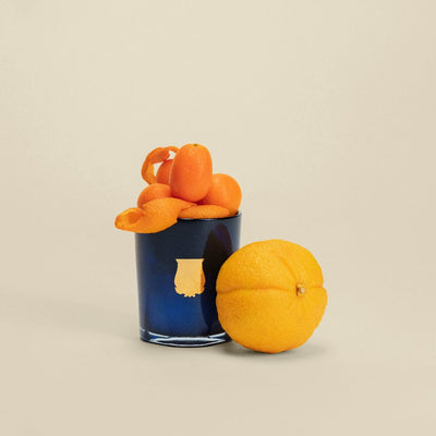 Trudon Reggio Petite Candle 70g – Bright Citrus Essence from Calabria