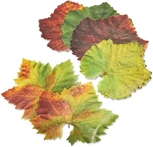 Parchment Paper Leaves for Cheese & Charcuterie Boards - Sisson Distribution Grape Leaves (Pack of 20) - Food Safe Decoration for Plate & Table