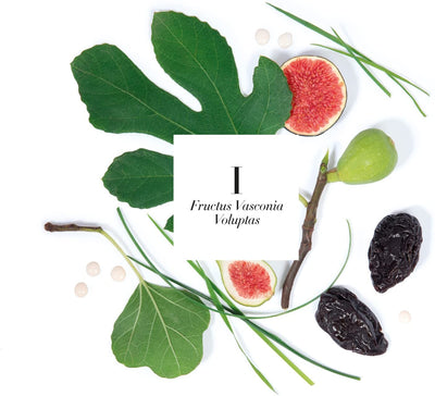 Amanda de Montal Fructus Vasconia Diffuser - Notes of Fig, Warm Grass, & Fig Milk - 500 ML