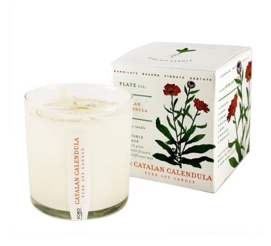 Kobo Candles Wild Tomato Vine Soy Candle with Plantable Box