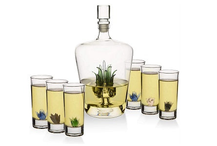 The Wine Savant Tequila Decanter Set With Agave Decanter and 6 Agave Shot Glasses
